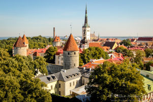 Tallinn-8